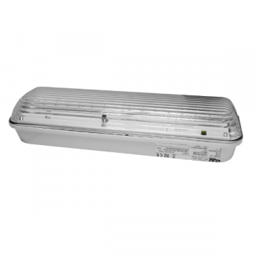 CE+T V601808190 WAX8-3-M - noodverlichting permanent - 2,5W - 250 lumen - 3 uur - IP65 - transparant
